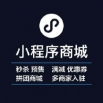 商城小程序开发 微信小程序定制开发服务|微信公众号官网拼团分销