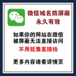 微信域名防红系统 微信信域名防封系统 微信域名防屏蔽系统 渠道对接