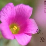 【恋爱宝典】魅力男神系列关系修复策略