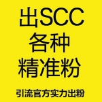 出SSC活粉【60元/个-100个起售】注册+成交总转化率在40%-70%左右 大鱼多多 质量远高于同行 都是玩SSC的活人