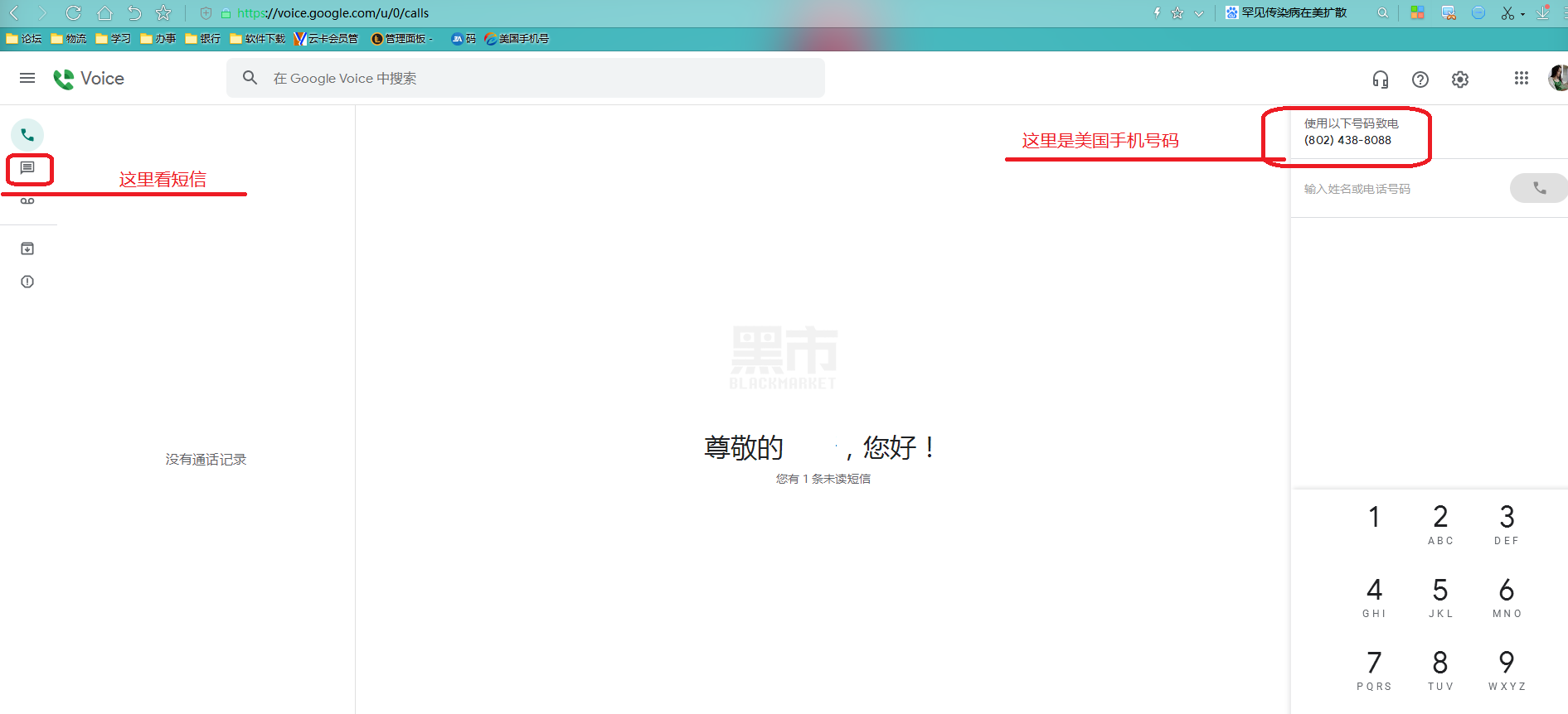长期零售批发Google voice号码图1