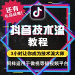 抖音技术流短视频剪辑制作 热门自媒体运营引流手机拍摄教程