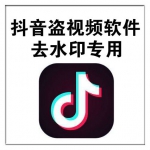 抖音视频怎么去水印 抖音去水印盗视频专用软件 抖音保存视频去水印
