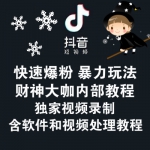 首席微课堂玩赚抖音7天特训营引流视频教程