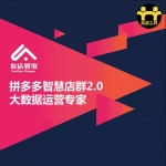 最新拼多多多店管家系统 大数据运营专家 拼多多智慧店群2.0