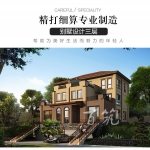 欧式农村兄弟双拼二层别墅设计图纸_乡村豪华小洋房屋全套CAD设计图源码下载