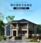 欧式乡村别墅设计图纸_二层豪华房屋_新农村自建房大气效果图CAD设计图源码下载