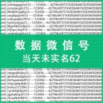 当天未实名62数据微信号出售 纯手工注册微信号购买 -上控专用质量可靠（注：什么是62数据号 自行百度 懂货的拍 小白慎拍！ 30元/个 5个起售）