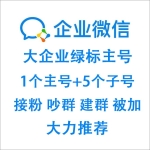 大企业绿标主号+5个子号企业微信号出售-稳定接粉/吵群/建群/被加/包首登请及时换绑/公司名称随机发货/上号如发现不能被加及时与客服联系。