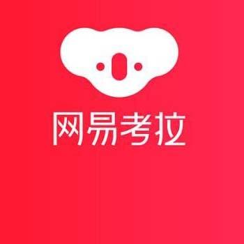 网易考拉账号在线购买 直登网易考拉账号批发（1组200个打包）24小时自动发货